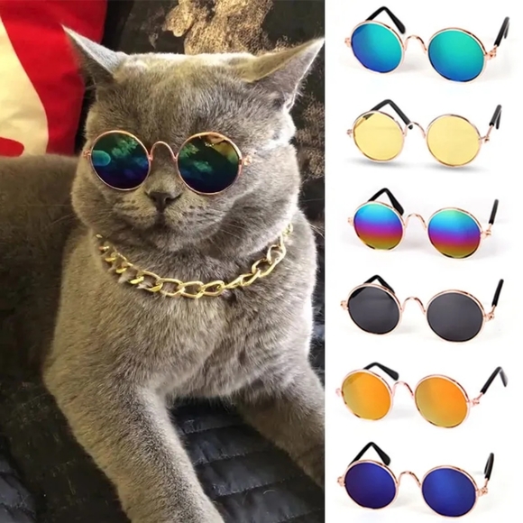 5/25 Pet Sunglasses Cat (M) size or small Dog (L) size - Picture 2 of 16